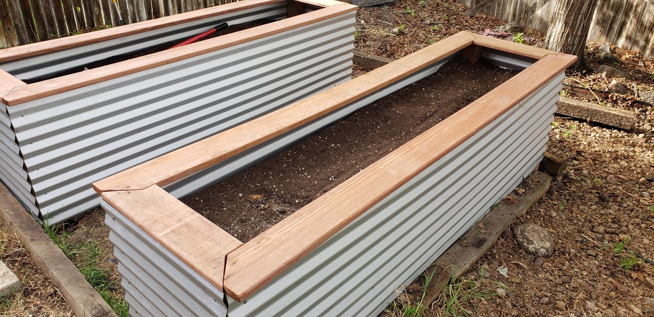 Garden beds ready for plants
