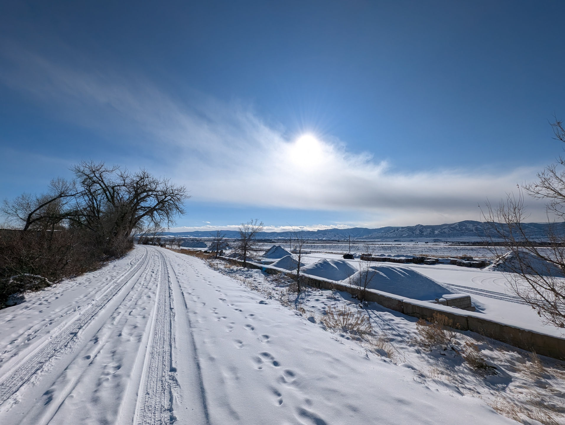 Walking in the Winter