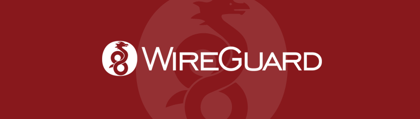 Wireguard logo